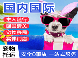 玉树巴塘空运代理国际宠物托运 【国